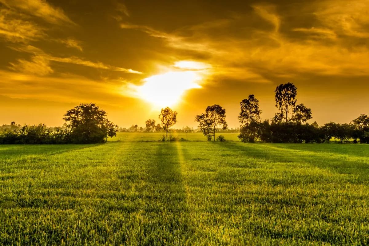Het Leen... Natuurlijk! - Wiskunde in de natuur (Dag van de Wetenschap)