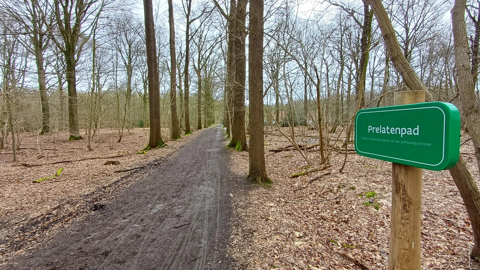 Bospad Prelatenpad door het Drongengoedbos in het Meetjesland, ideaal voor een wandeling met de hond.