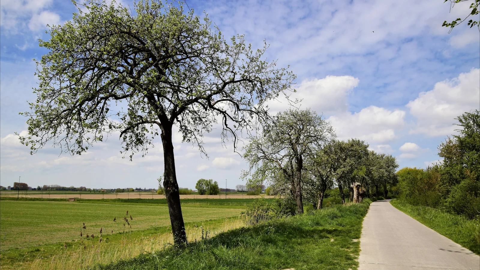 Zomer in het Meetjesland: complete gids voor 2026