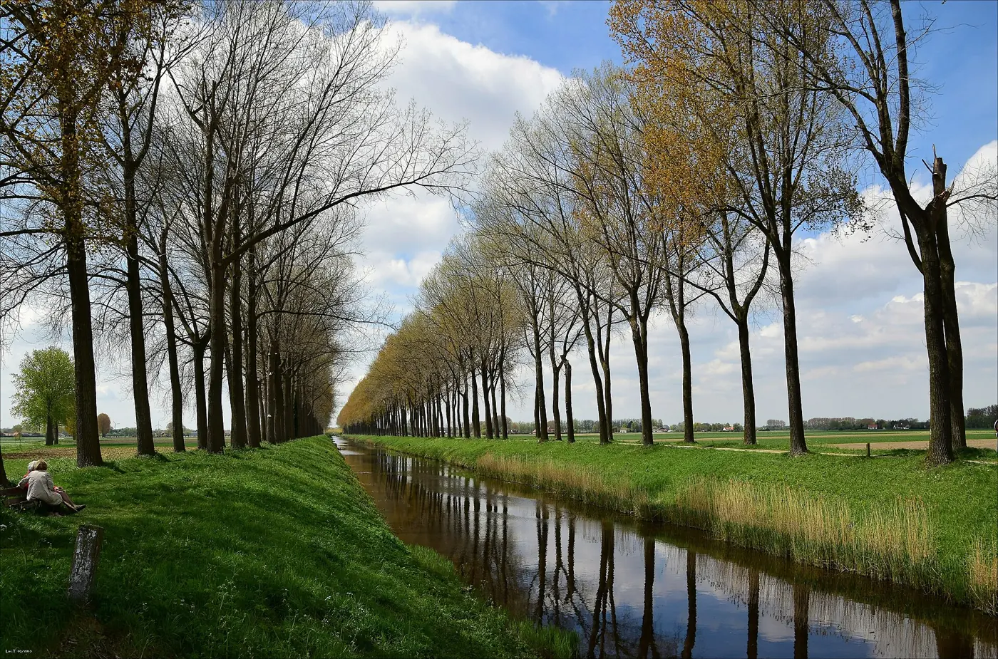 Het Leopoldkanaal in Sint-Laureins, recht als een lat tussen rijen populieren, met iemand die in het gras aan de oever zit.